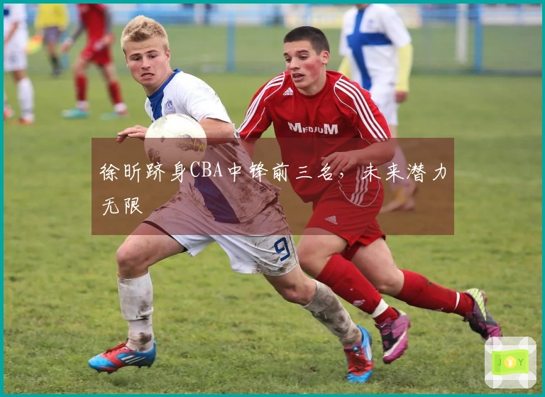 徐昕跻身CBA中锋前三名，未来潜力无限