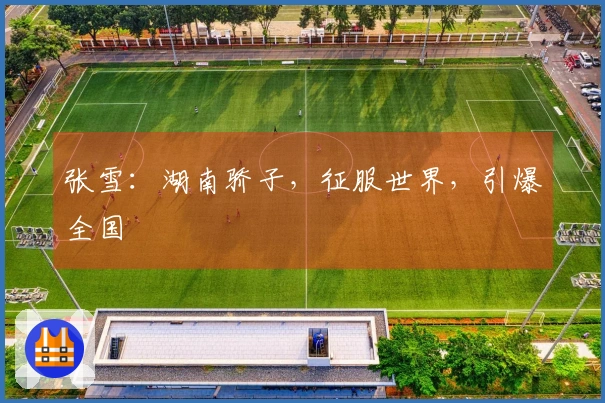 张雪：湖南骄子，征服世界，引爆全国