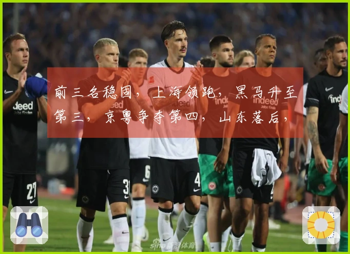 前三名稳固，上海领跑，黑马升至第三，京粤争夺第四，山东落后，辽宁排名第九