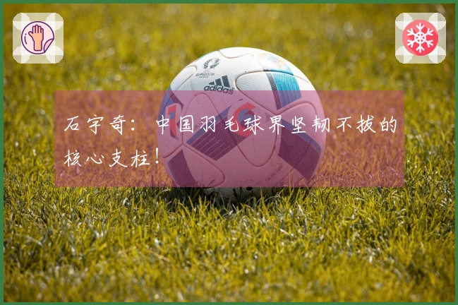 石宇奇：中国羽毛球界坚韧不拔的核心支柱！